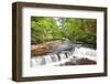 Beautiful Woodland Stream and Waterfall in Summer-Veneratio-Framed Photographic Print