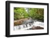 Beautiful Woodland Stream and Waterfall in Summer-Veneratio-Framed Photographic Print