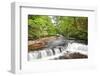 Beautiful Woodland Stream and Waterfall in Summer-Veneratio-Framed Photographic Print