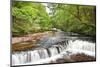 Beautiful Woodland Stream and Waterfall in Summer-Veneratio-Mounted Photographic Print