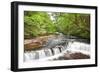 Beautiful Woodland Stream and Waterfall in Summer-Veneratio-Framed Photographic Print