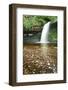 Beautiful Woodland Stream and Waterfall in Summer-Veneratio-Framed Photographic Print