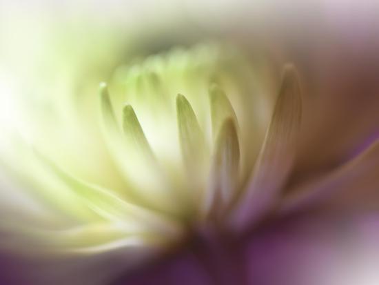 Photo, , large