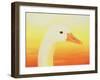 Beauty, 1998-Magdolna Ban-Framed Giclee Print