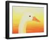 Beauty, 1998-Magdolna Ban-Framed Giclee Print