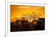 Beauty after Life-Dan Ballard-Framed Photographic Print