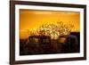 Beauty after Life-Dan Ballard-Framed Photographic Print