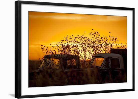 Beauty after Life-Dan Ballard-Framed Photographic Print