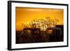 Beauty after Life-Dan Ballard-Framed Photographic Print