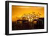 Beauty after Life-Dan Ballard-Framed Photographic Print