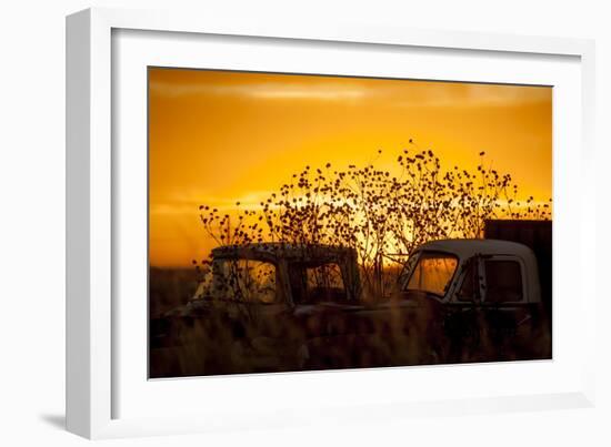 Beauty after Life-Dan Ballard-Framed Photographic Print