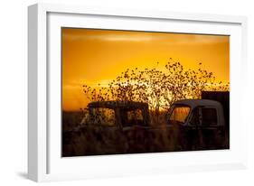 Beauty after Life-Dan Ballard-Framed Photographic Print