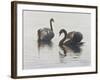 Beauty and Grace-Bruce Dumas-Framed Giclee Print