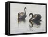 Beauty and Grace-Bruce Dumas-Framed Stretched Canvas