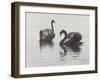 Beauty and Grace-Bruce Dumas-Framed Giclee Print