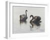 Beauty and Grace-Bruce Dumas-Framed Giclee Print