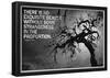 Beauty and Strangeness Edgar Allan Poe Poster-null-Framed Poster