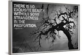 Beauty and Strangeness Edgar Allan Poe Poster-null-Framed Photo