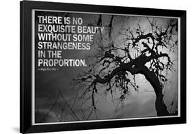 Beauty and Strangeness Edgar Allan Poe Poster-null-Framed Photo