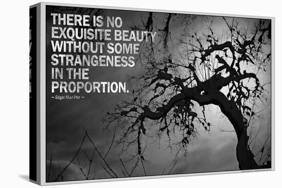 Beauty and Strangeness Edgar Allan Poe Poster-null-Stretched Canvas