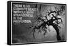 Beauty and Strangeness Edgar Allan Poe Poster-null-Framed Stretched Canvas