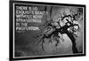 Beauty and Strangeness Edgar Allan Poe Poster-null-Framed Photo