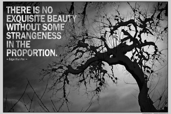 Photo, , large