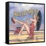 Beauty and the Beach-Scott Westmoreland-Framed Stretched Canvas