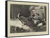 Beauty and the Beast-Charles Burton Barber-Framed Stretched Canvas