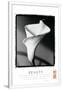 Gramercy White