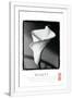 Gramercy White