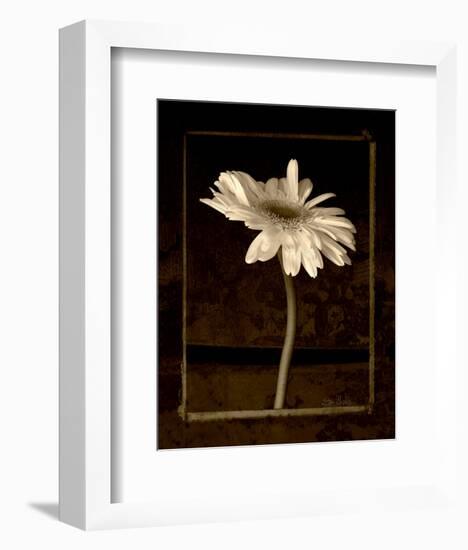 Beauty Endures II-Lin Christopher-Framed Art Print