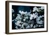 Beauty in Nature 1-Michael Greenwood-Framed Art Print