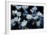 Beauty in Nature 2-Michael Greenwood-Framed Art Print