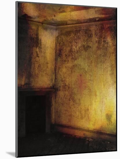 Beauty Is a Witch' Series Elvaston Castle..Golden Room with Fireplace-Mark Gordon-Mounted Giclee Print