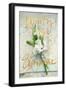 Beauty Is Everywhere-Sarah Gardner-Framed Art Print