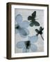 Beauty of Light Blue 1-Dan Zamudio-Framed Art Print