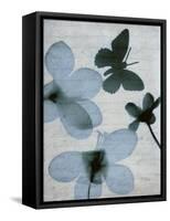 Beauty of Light Blue 1-Dan Zamudio-Framed Stretched Canvas