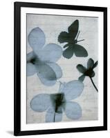 Beauty of Light Blue 1-Dan Zamudio-Framed Art Print