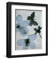Beauty of Light Blue 1-Dan Zamudio-Framed Art Print