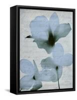 Beauty of Light Blue 2-Dan Zamudio-Framed Stretched Canvas