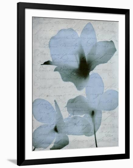 Beauty of Light Blue 2-Dan Zamudio-Framed Art Print
