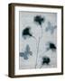 Beauty of Light Blue 3-Dan Zamudio-Framed Art Print