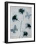 Beauty of Light Blue 3-Dan Zamudio-Framed Art Print