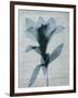 Beauty of Light Blue 4-Dan Zamudio-Framed Art Print