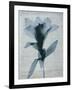 Beauty of Light Blue 4-Dan Zamudio-Framed Art Print