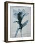 Beauty of Light Blue 4-Dan Zamudio-Framed Art Print