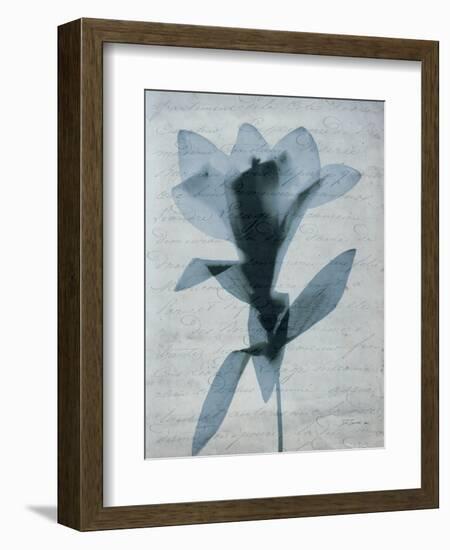 Beauty of Light Blue 4-Dan Zamudio-Framed Art Print