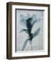 Beauty of Light Blue 4-Dan Zamudio-Framed Art Print