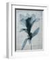 Beauty of Light Blue 4-Dan Zamudio-Framed Art Print